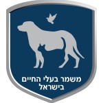 מי אנחנו חברת נינג'ה מונקי