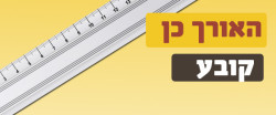 Read more about the article סרטוני וידיאו בפייסבוק, לא מה שחשבתם