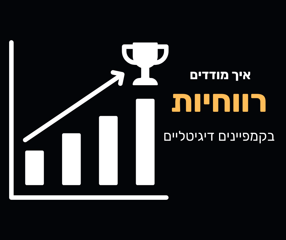 Read more about the article איך מודדים רווחיות של קמפיינים דיגיטליים?